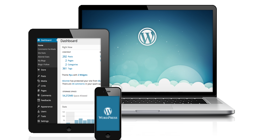 wodrpess-main-image2